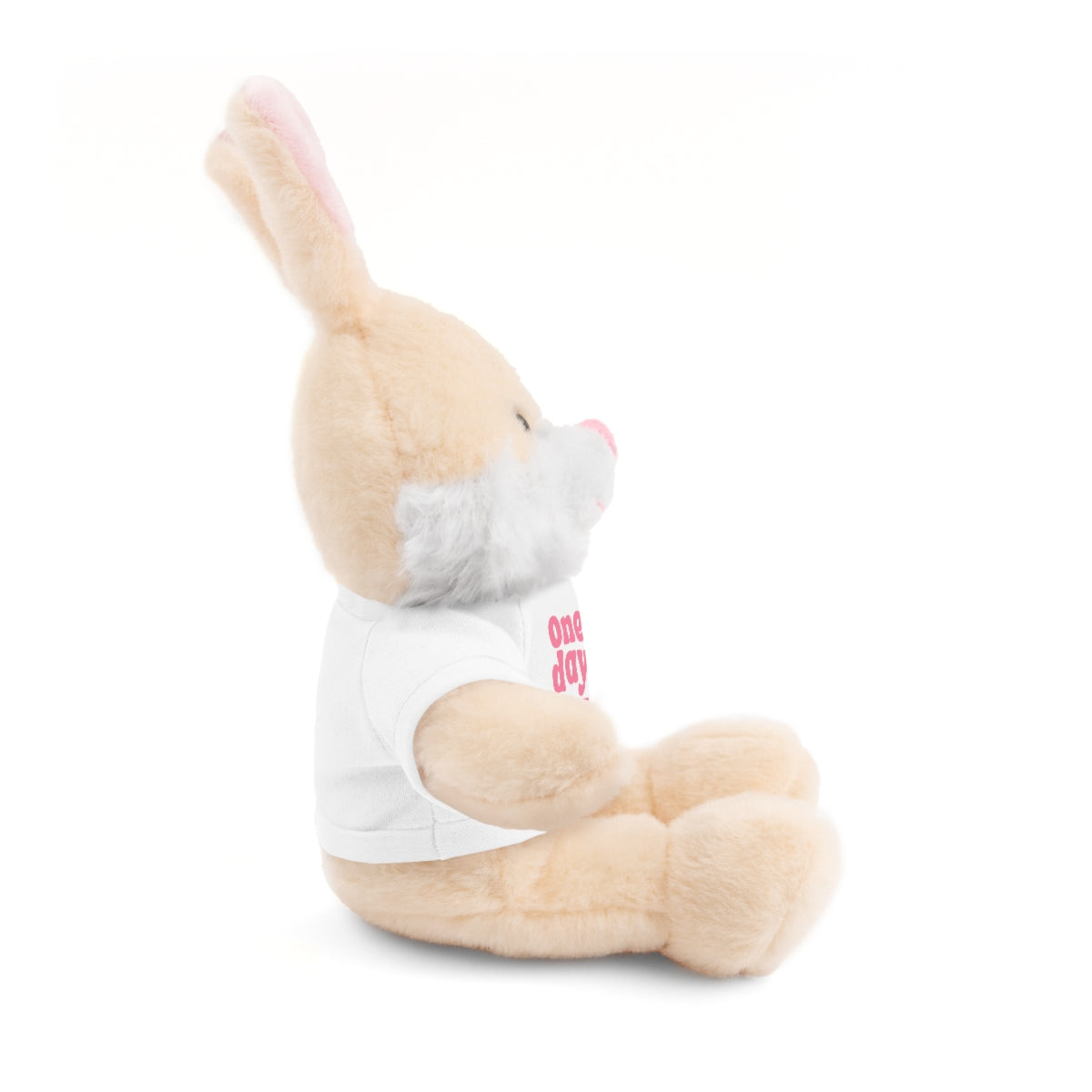 One Day Stuffed Animal